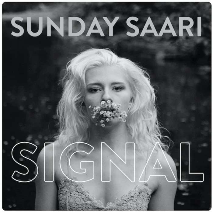 Signal official cover artwork